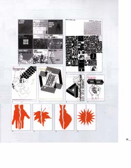 linea grafica