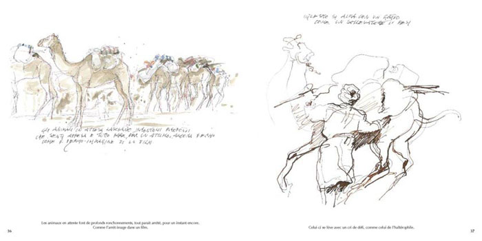 pagina 36/37